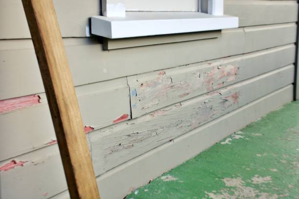 Best Stone Veneer Siding  in East Troy, WI